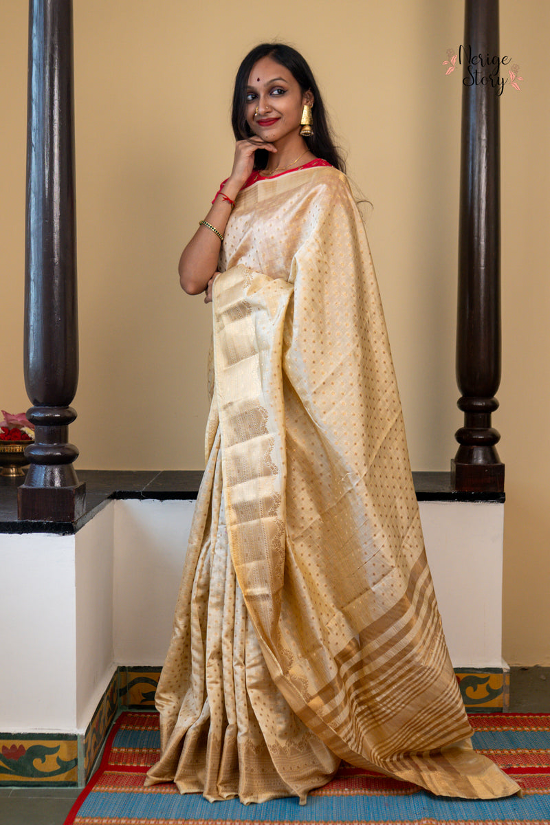 SARANGI (सारंगी)