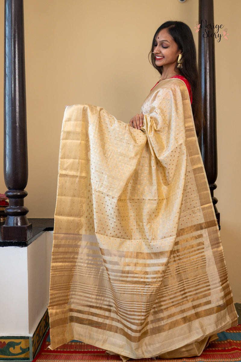 SARANGI (सारंगी)