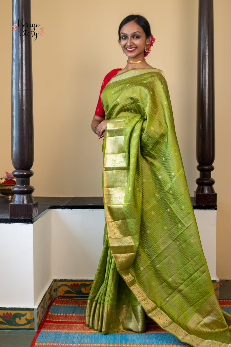 MRIGANSHI (मृगांशी)
