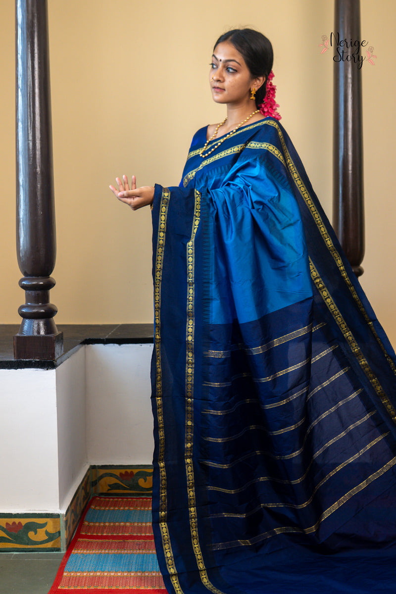 RAJNIGANDHA (ರಾಜನೀಗಂಧಾ)