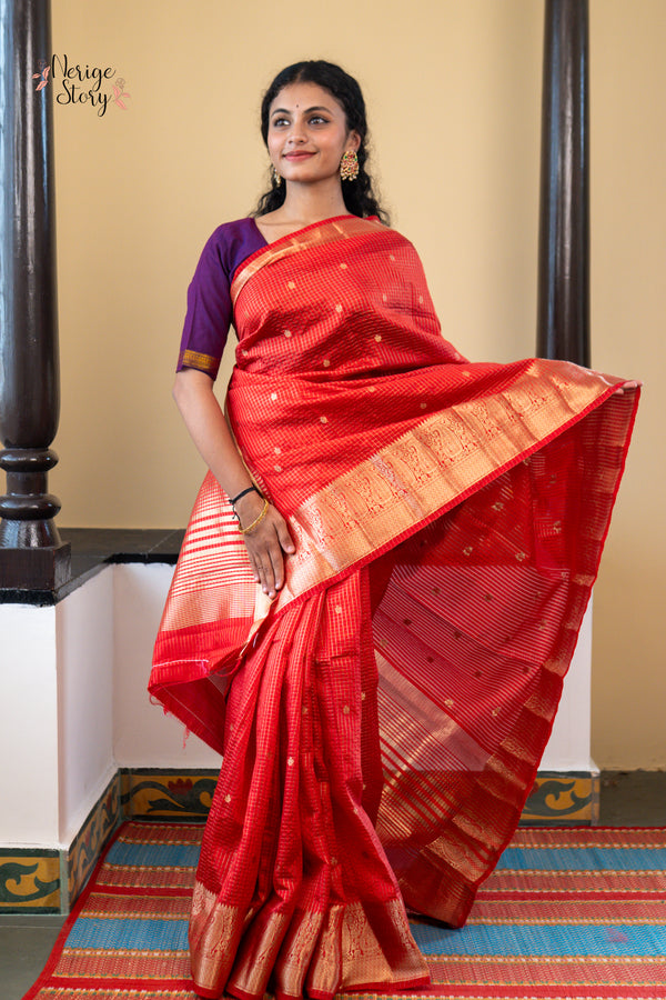 NAYANIKA (नयनिका)