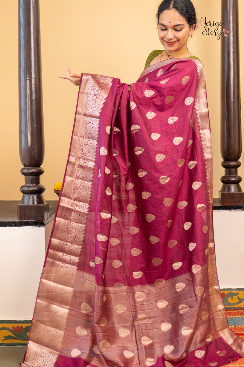 VINA (वीना)