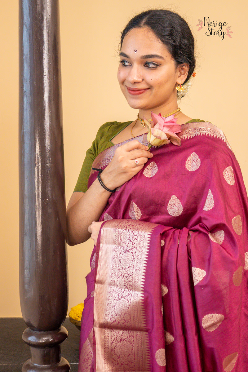 VINA (वीना)