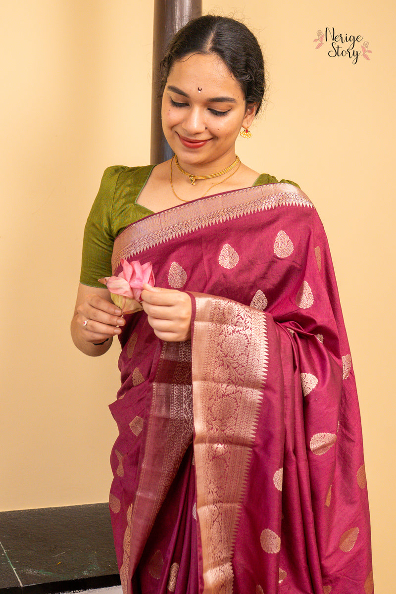 VINA (वीना)