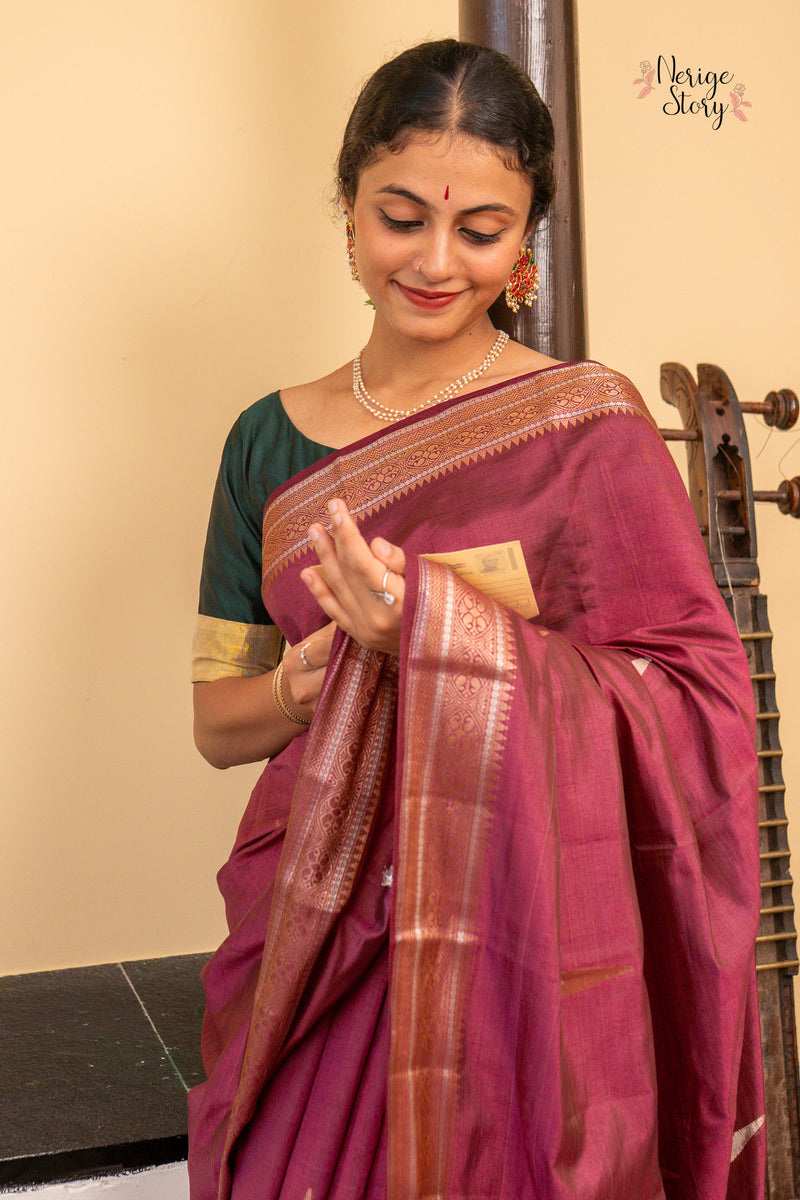 REVA (रेवा)