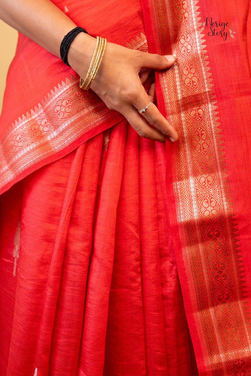 SAVITA (सविता)