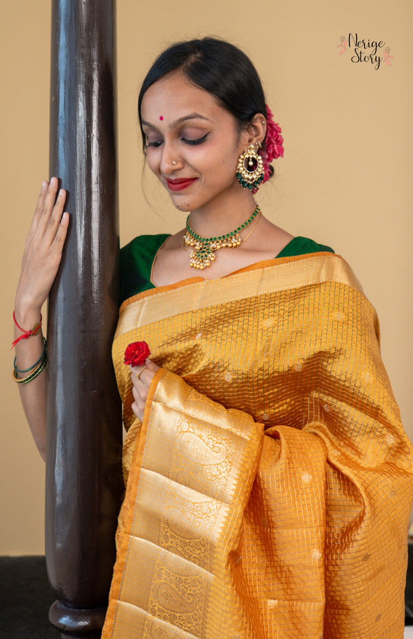 NITISHA (नीतिषा)