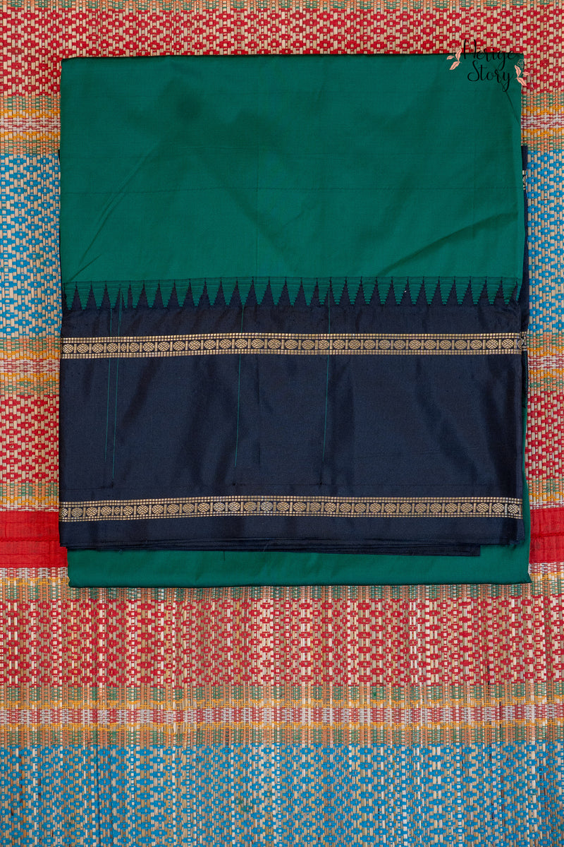 Saree - 10