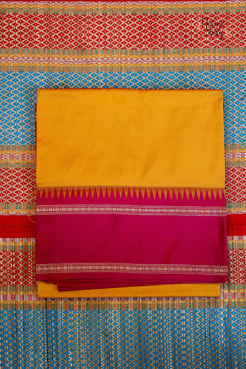 Saree - 17