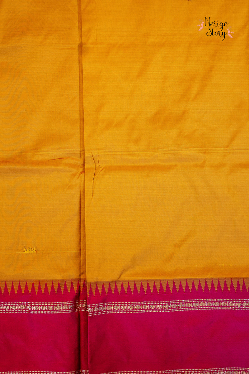 Saree - 17