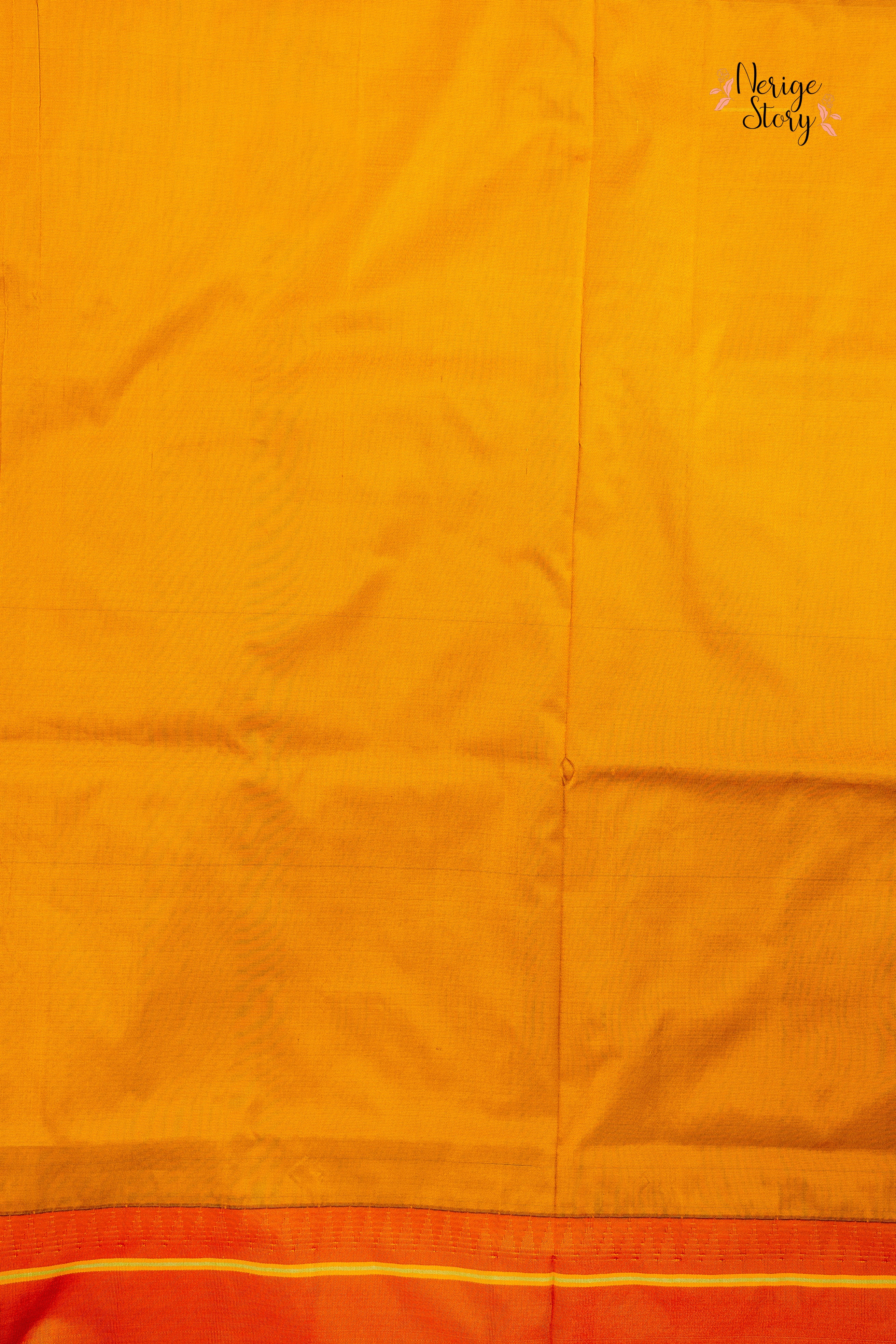 Saree - 17