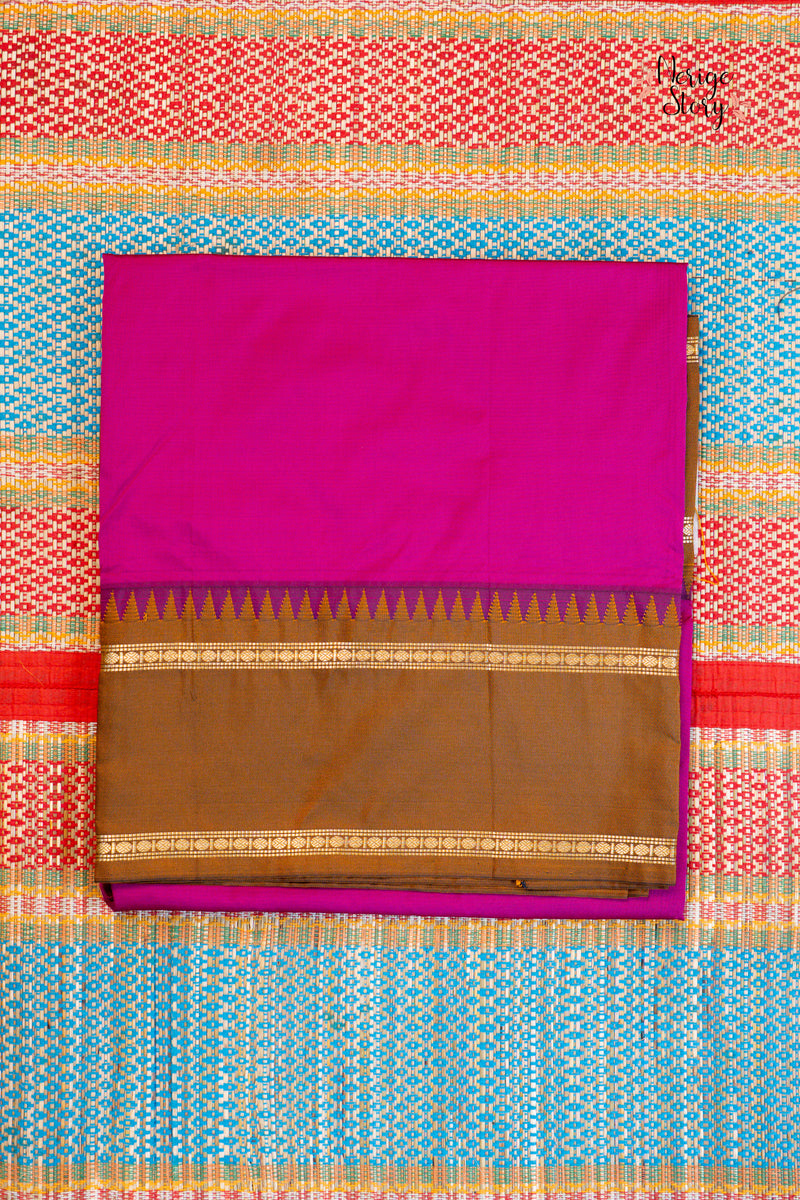 Saree - 22