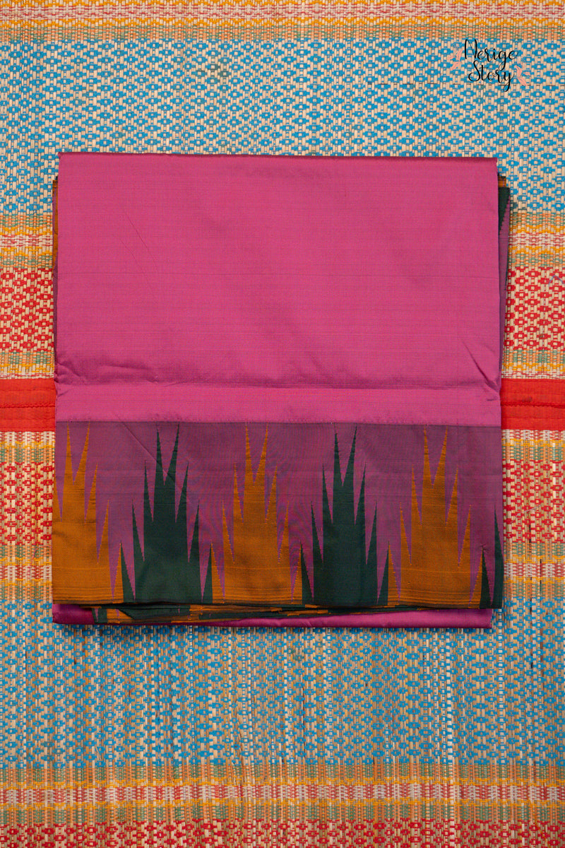 Saree - 31