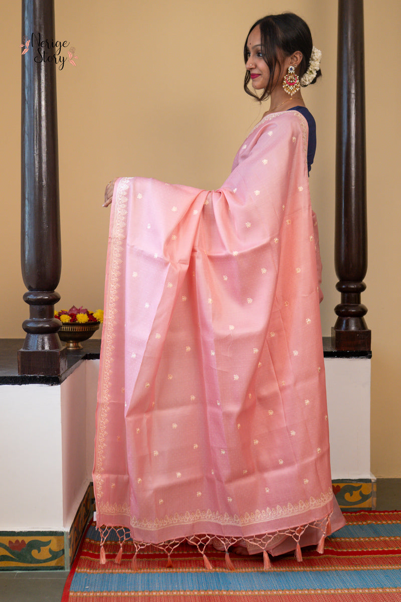 ANINDITA (अनिंदिता)