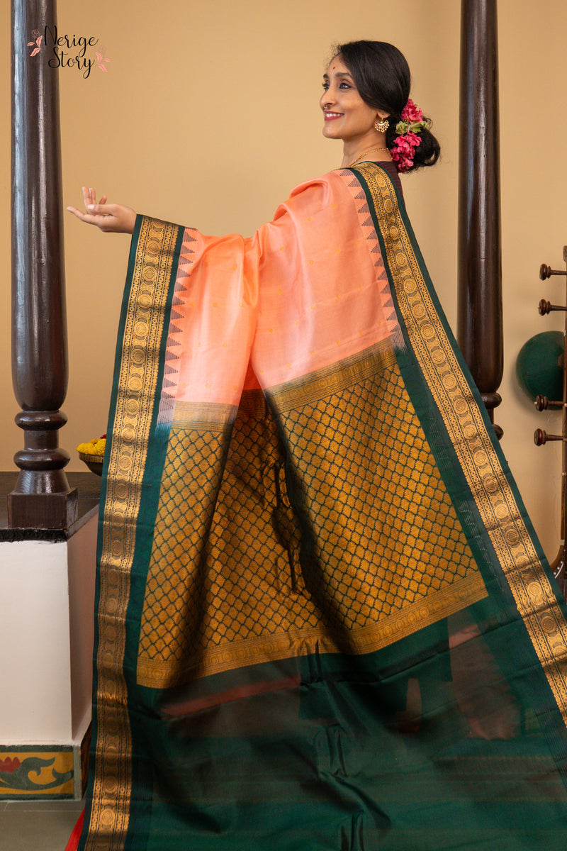 ANAGHA DEVI (అనఘ దేవి)