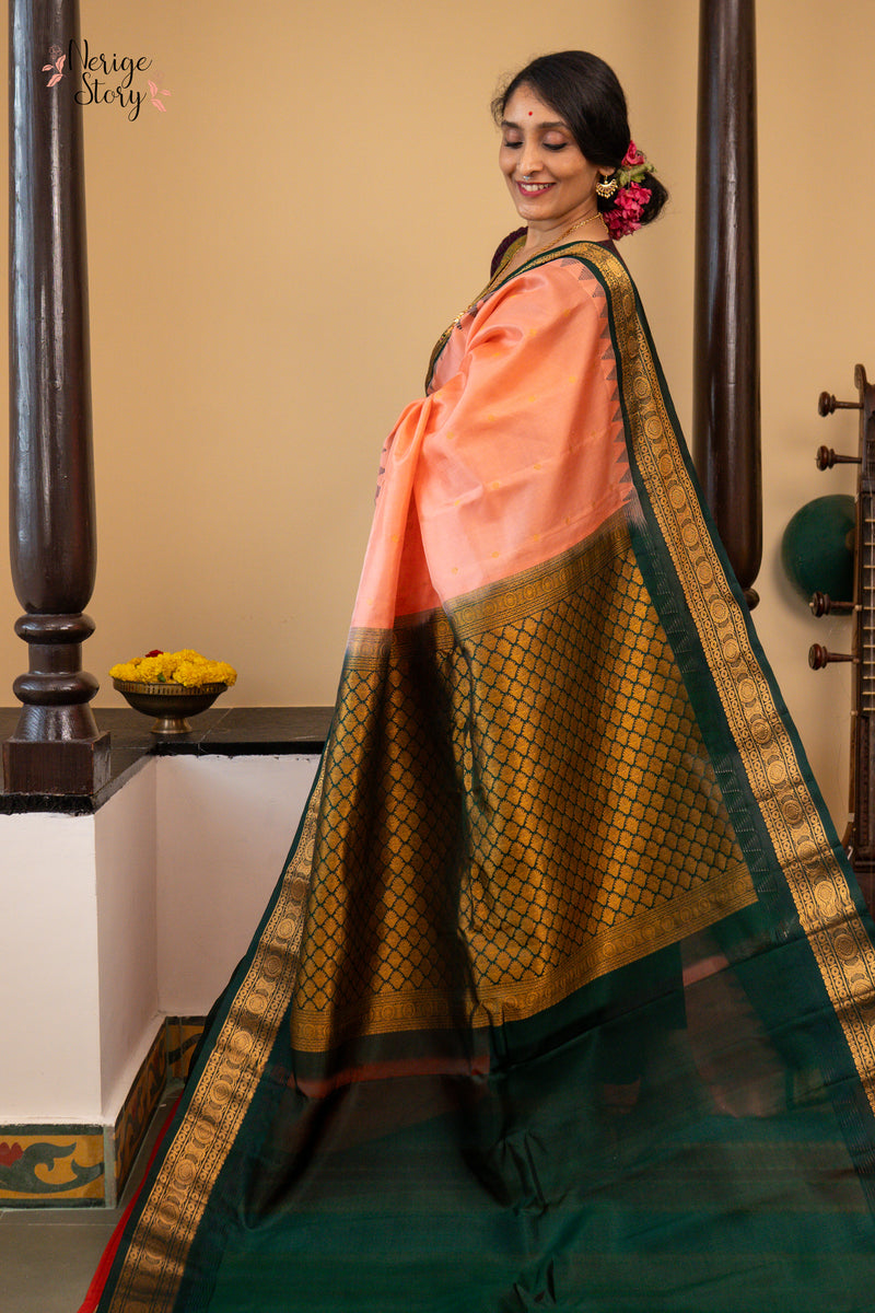 ANAGHA DEVI (అనఘ దేవి)