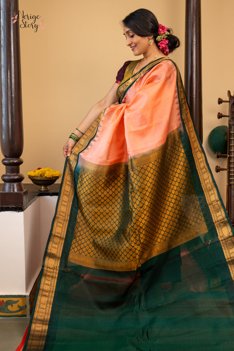 ANAGHA DEVI (అనఘ దేవి)