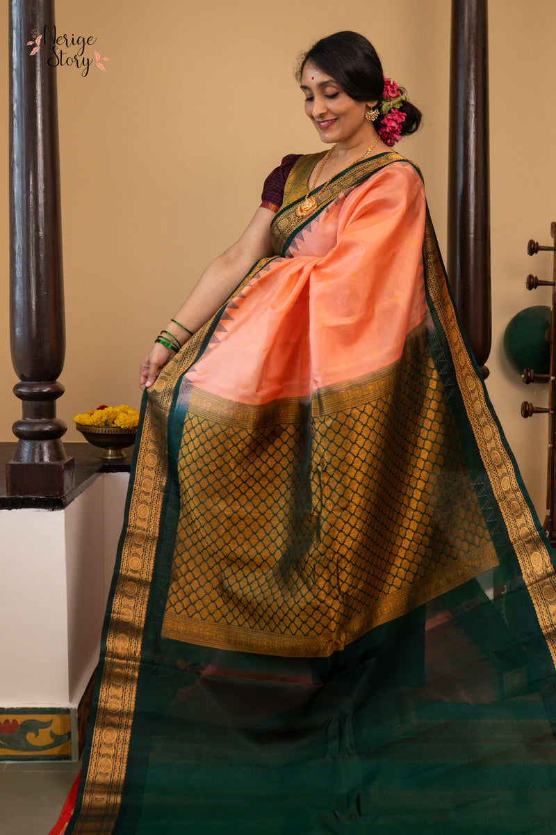 ANAGHA DEVI (అనఘ దేవి)