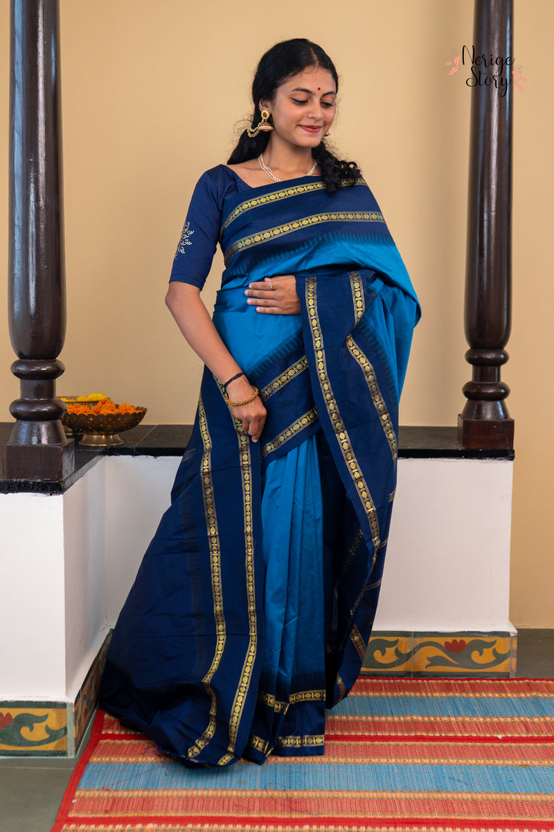 AMRITODAKA (ಅಮೃತೋದಕಾ)