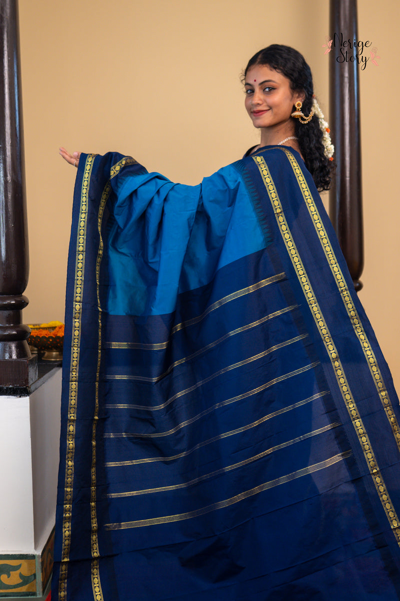 AMRITODAKA (ಅಮೃತೋದಕಾ)
