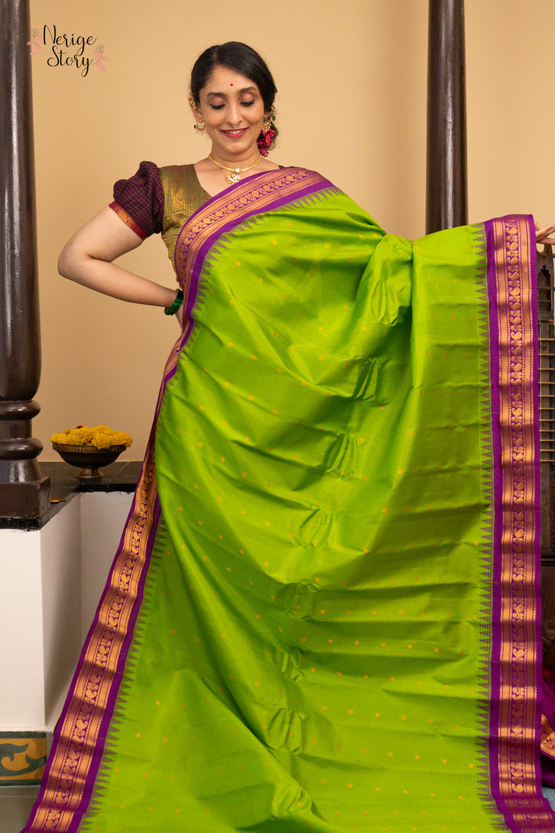 MEERA DEVI (మీరా దేవి)
