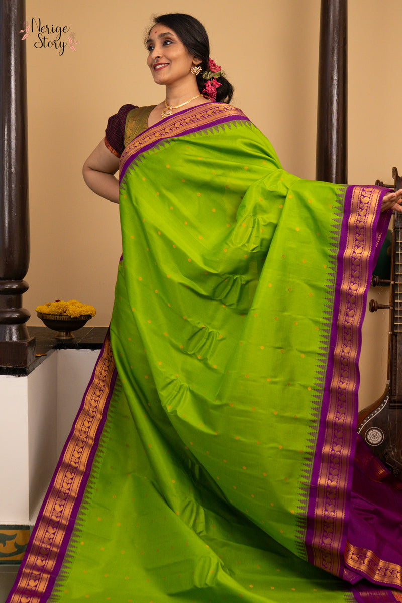 MEERA DEVI (మీరా దేవి)