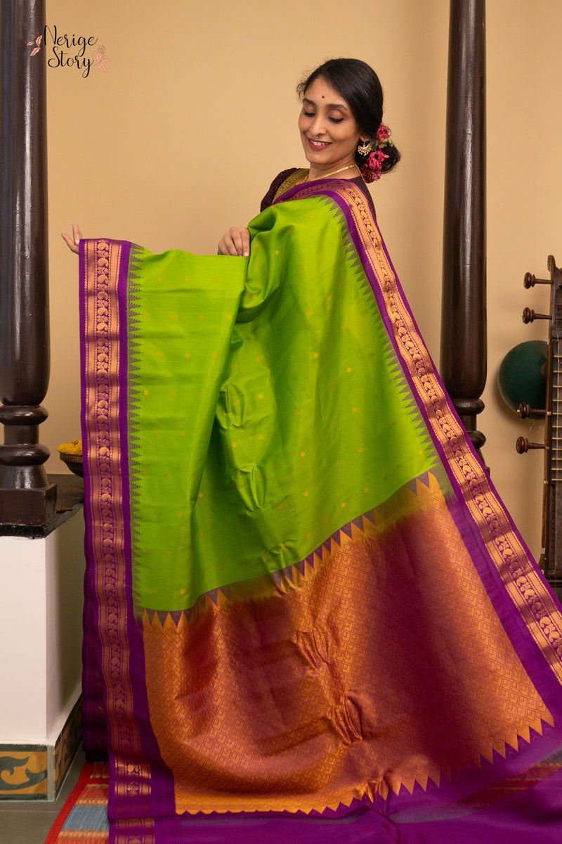 MEERA DEVI (మీరా దేవి)