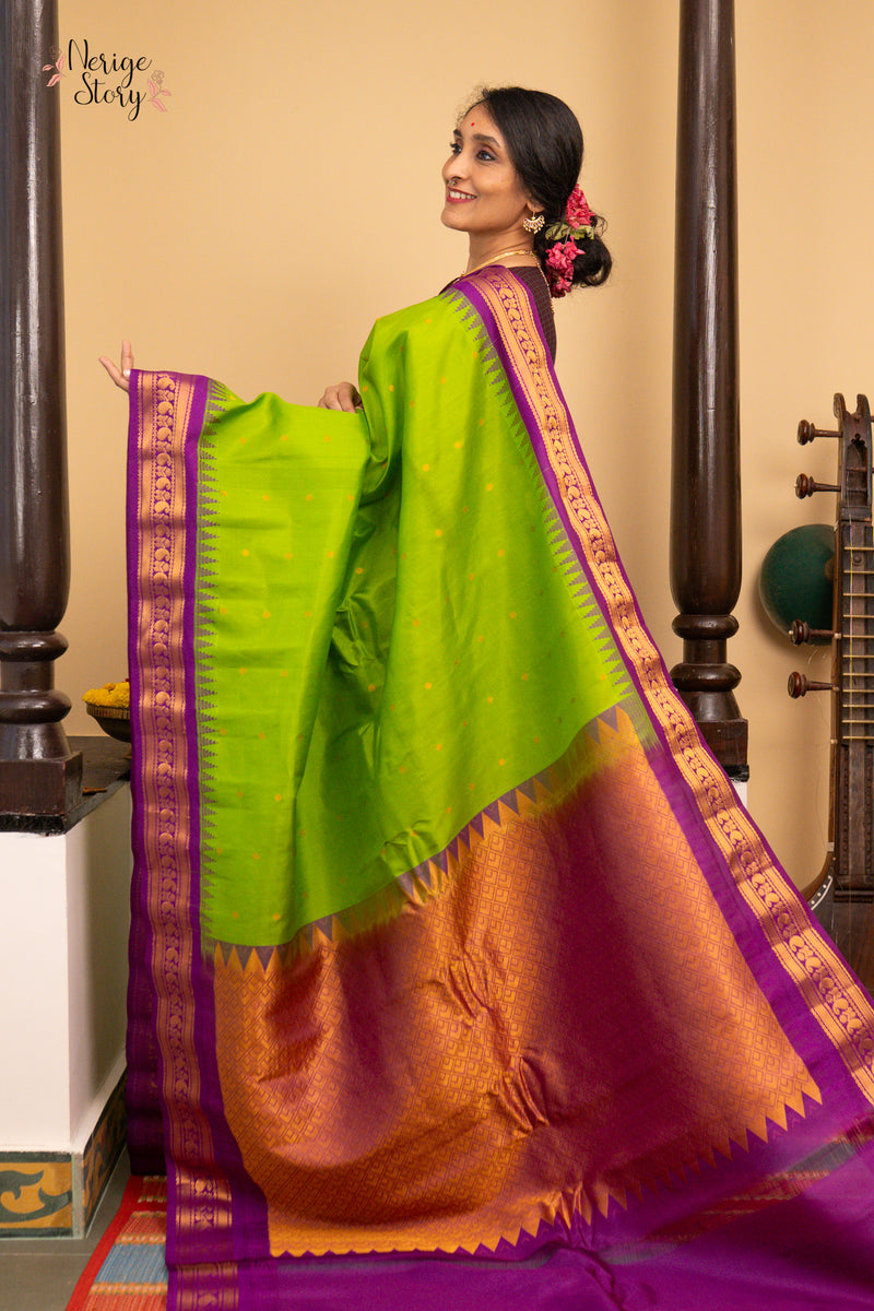 MEERA DEVI (మీరా దేవి)
