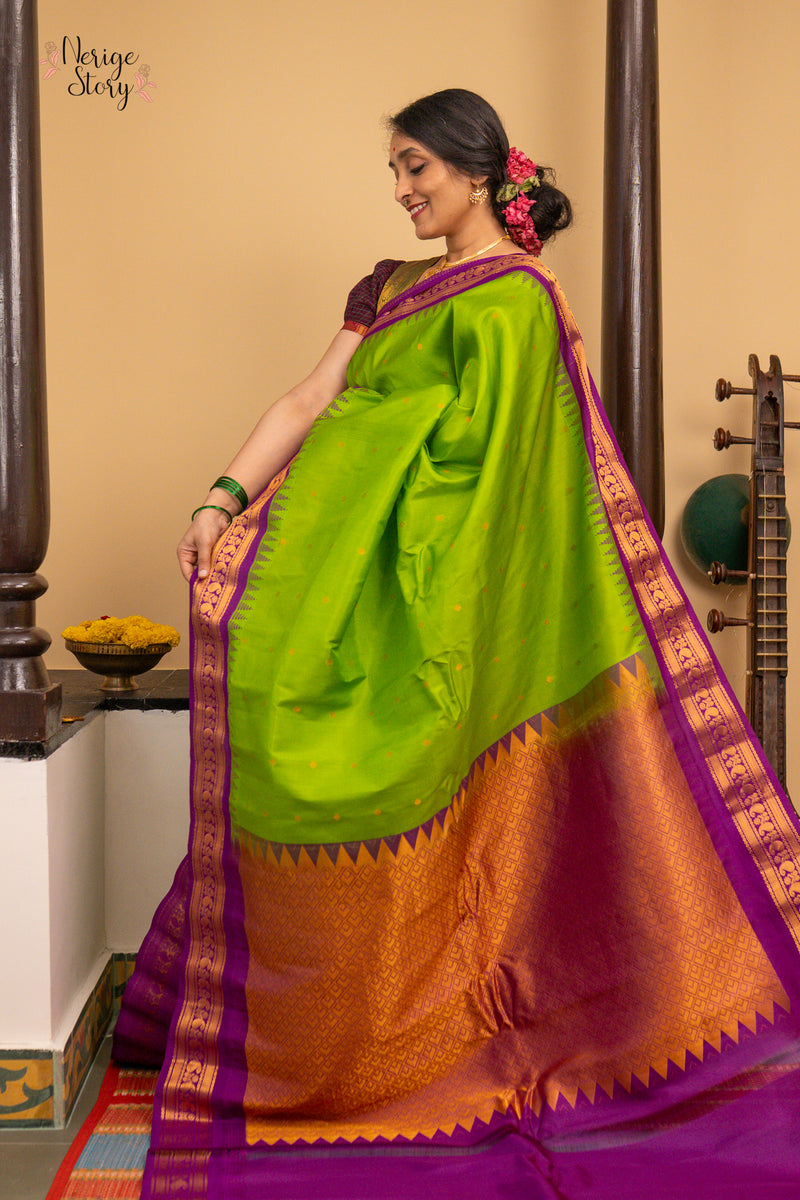 MEERA DEVI (మీరా దేవి)