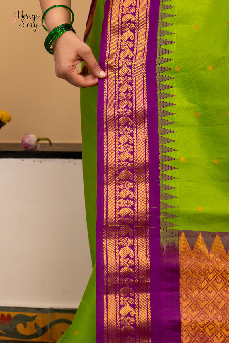MEERA DEVI (మీరా దేవి)