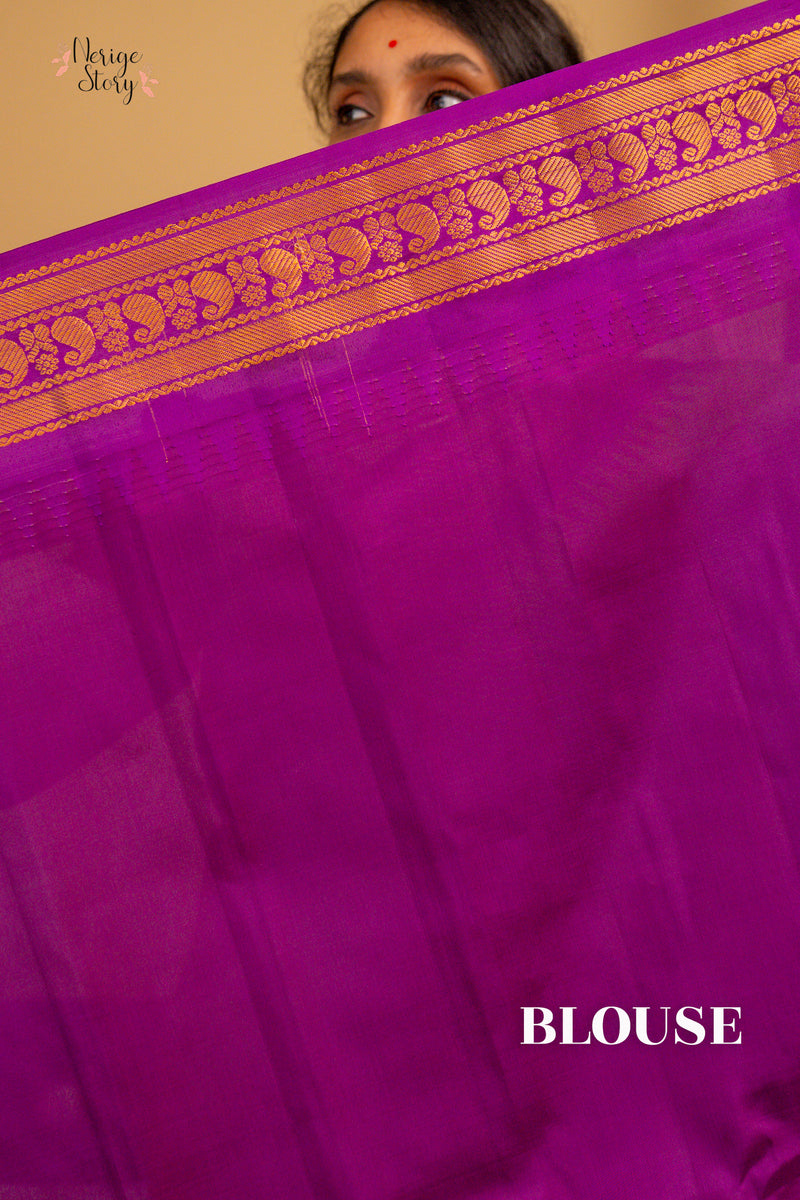 MEERA DEVI (మీరా దేవి)
