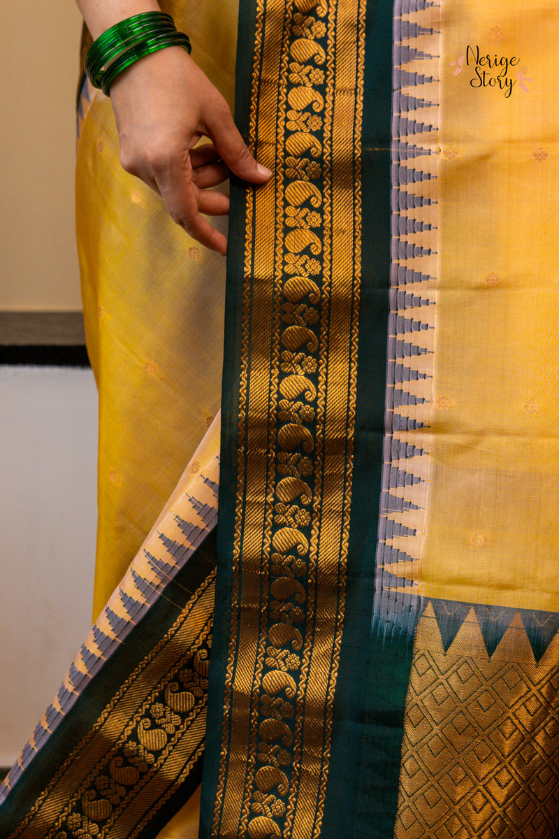 PADMA LATHA (పద్మ లతా)