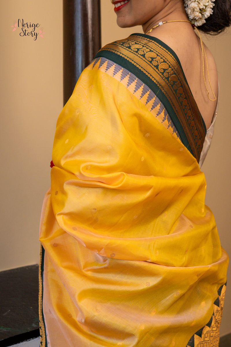PADMA LATHA (పద్మ లతా)