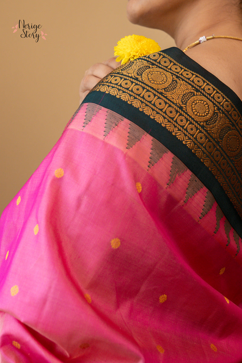 RADHA LATHA (రాధ లతా)