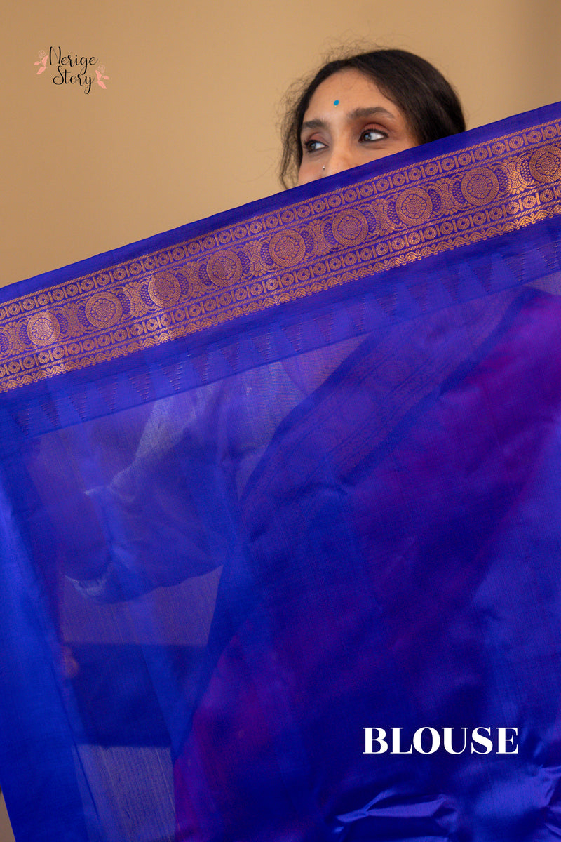 NANDA PRIYA (నంద ప్రియా)