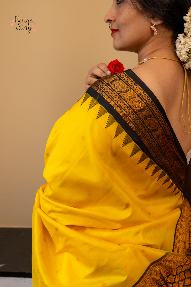 HEMA JA (హేమ జ)