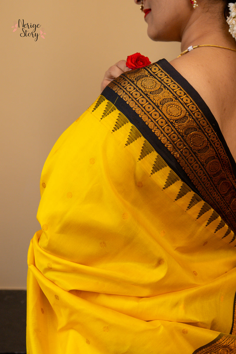 HEMA JA (హేమ జ)