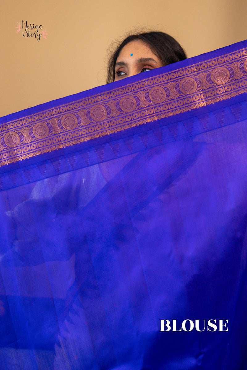 SAVITHA KUMARI (సవిత కుమారి)