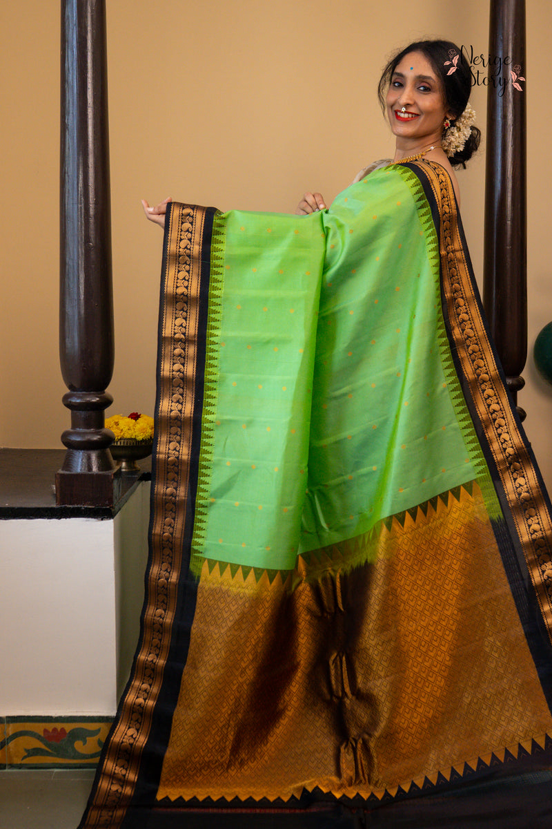SITA JYOTHI (సీత జ్యోతి)