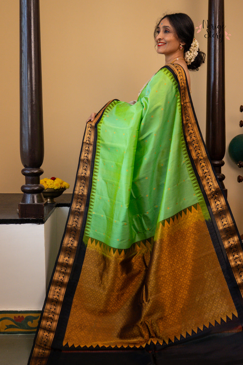 SITA JYOTHI (సీత జ్యోతి)