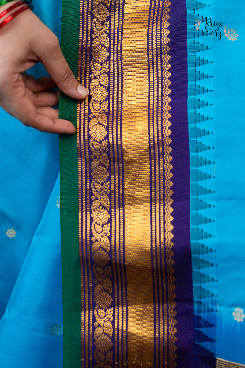 KRAUNCHITARA (క్రౌంచితారా)