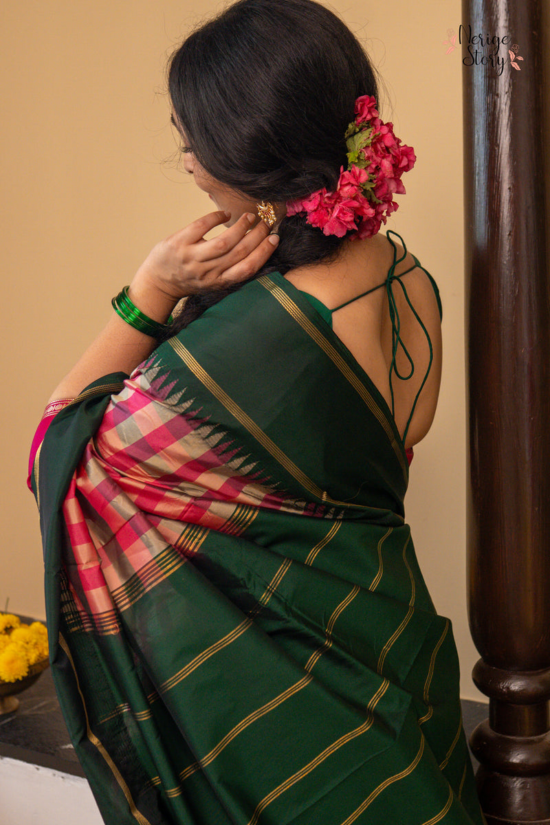 NANDA LATA (ನಂದಾ ಲತಾ)