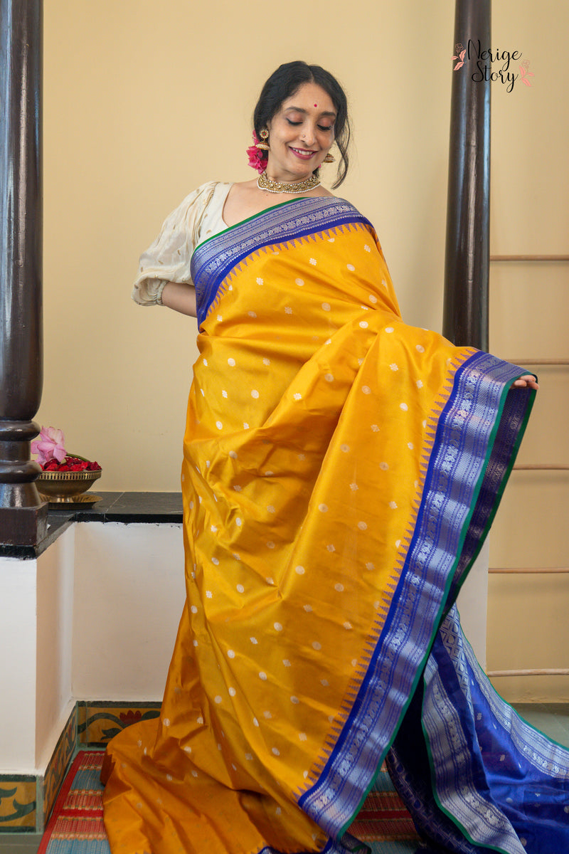 ANCHALIKILINIKA (ఆంచలికిలినికా)