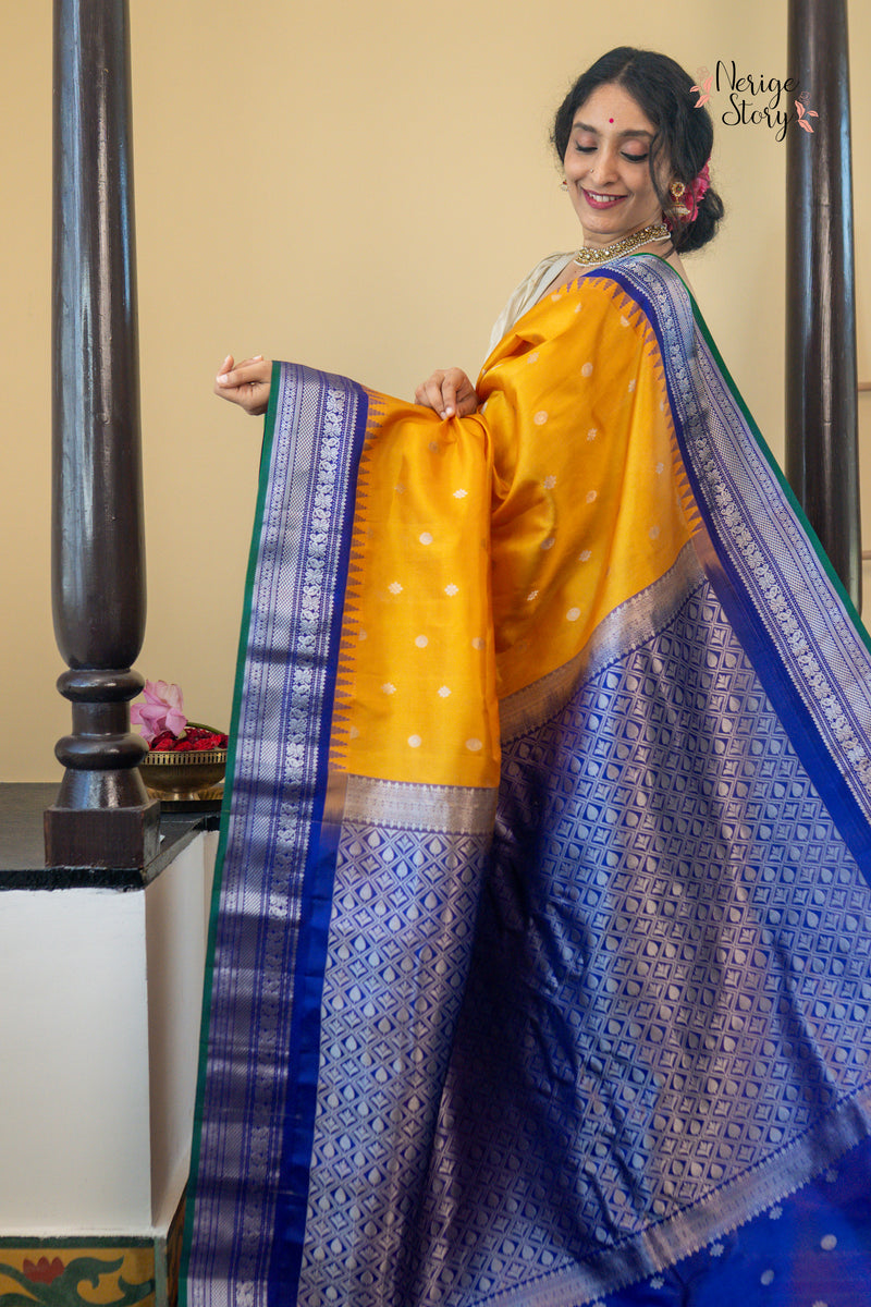 ANCHALIKILINIKA (ఆంచలికిలినికా)