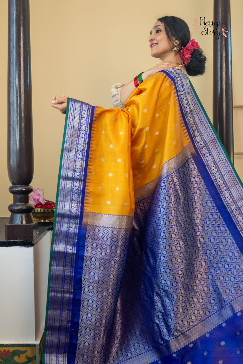 ANCHALIKILINIKA (ఆంచలికిలినికా)