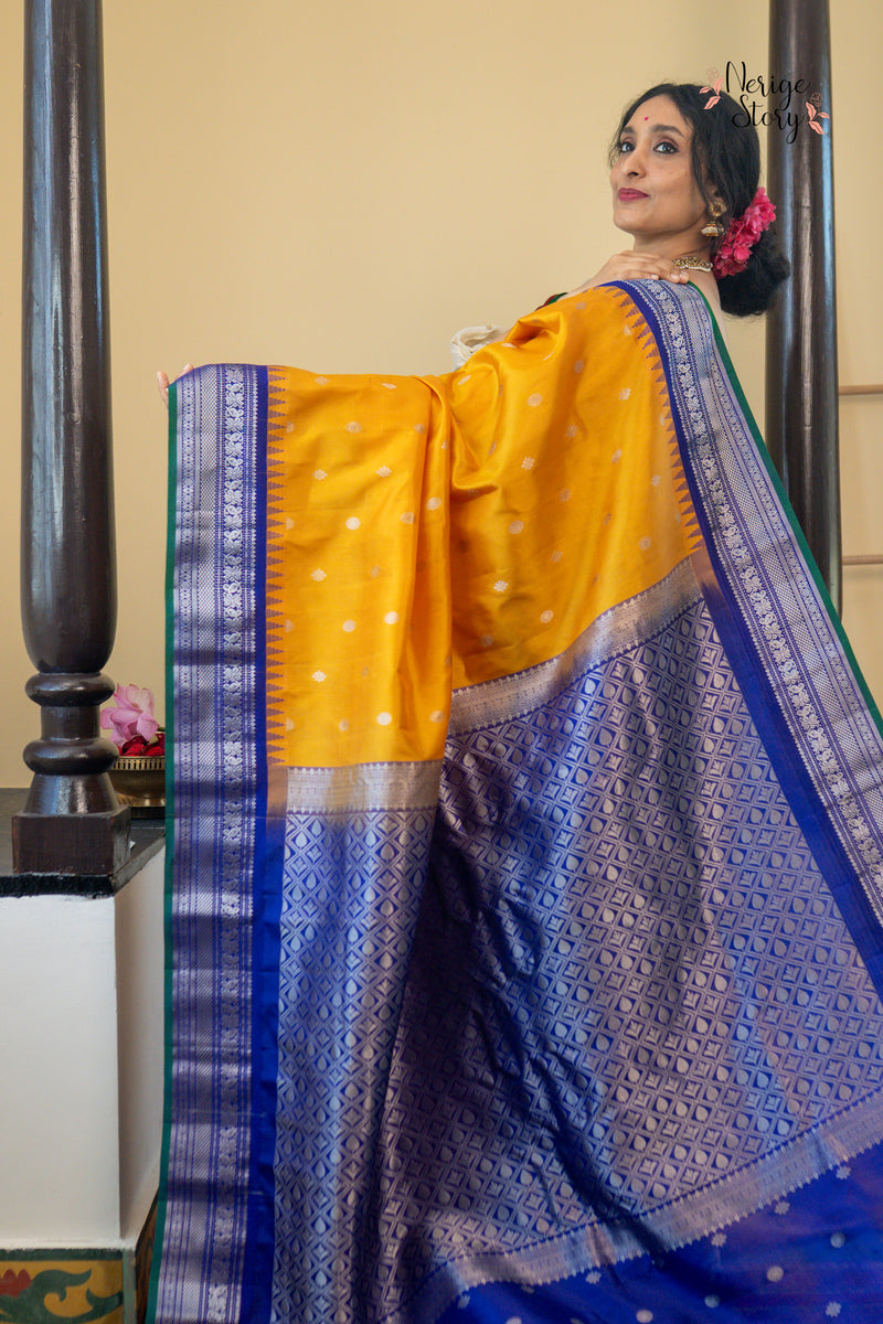 ANCHALIKILINIKA (ఆంచలికిలినికా)