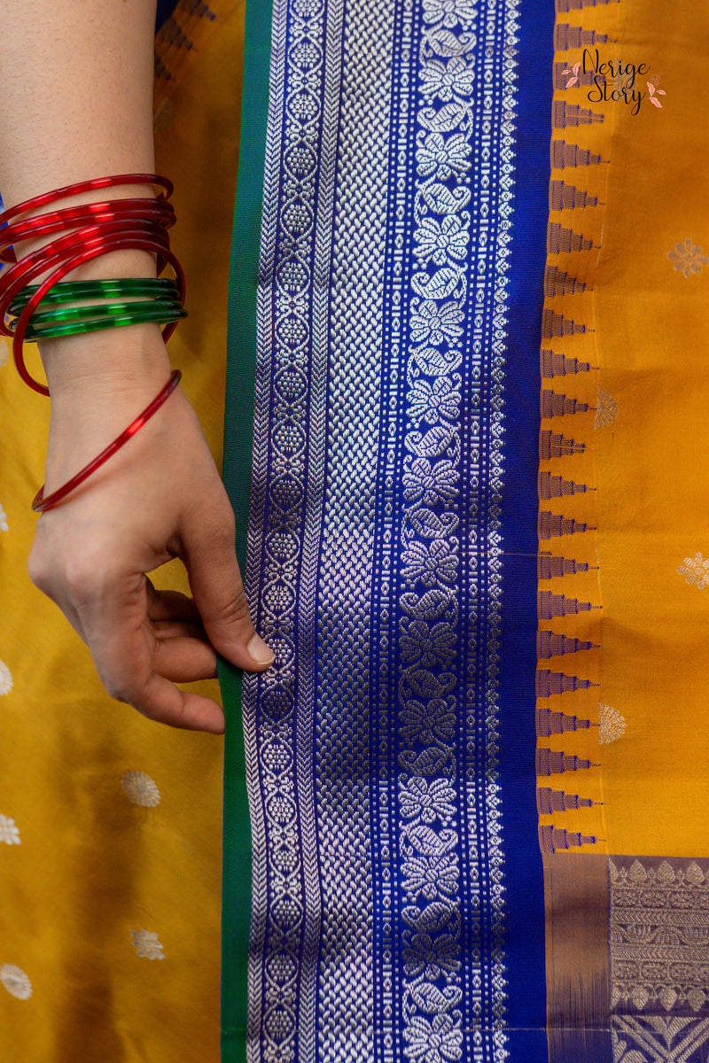 ANCHALIKILINIKA (ఆంచలికిలినికా)