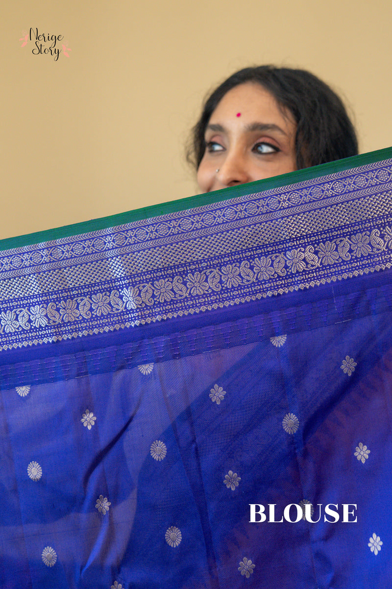 ANCHALIKILINIKA (ఆంచలికిలినికా)