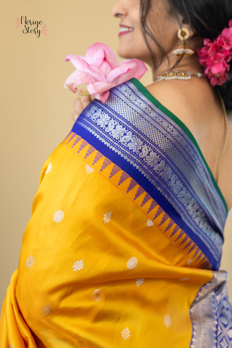ANCHALIKILINIKA (ఆంచలికిలినికా)