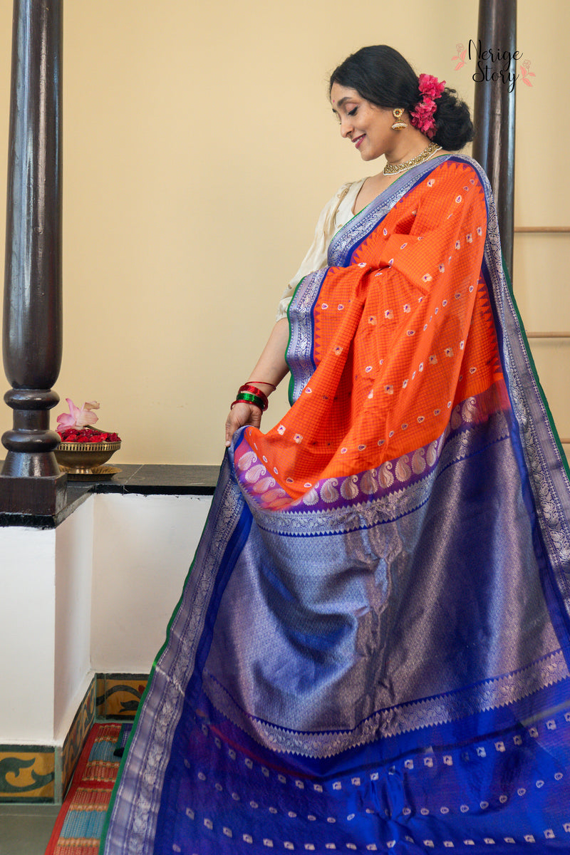 SHYENIMORIKA (శ్యేనిమోరికా)